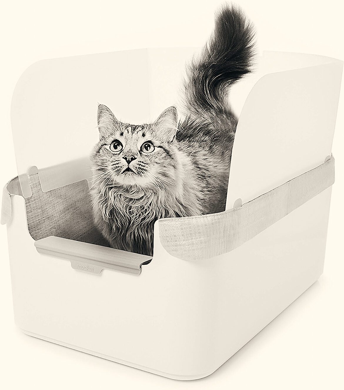 do-cats-prefer-closed-or-open-litter-boxes