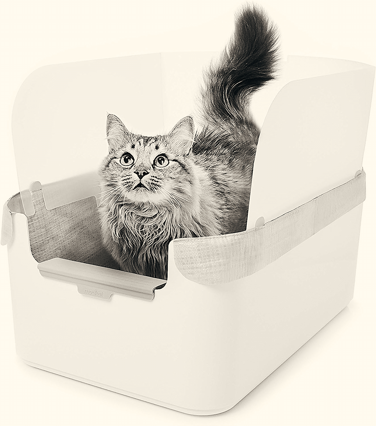 Do Cats Prefer Closed Or Open Litter Boxes 