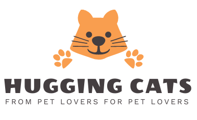 Hugging Cats – Cat Guides, Animals, Magazine By Veterinarian & Pet Lovers