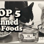 What are the top five cat foods?